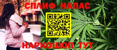 винт Можга