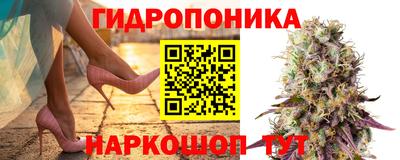 винт Можга