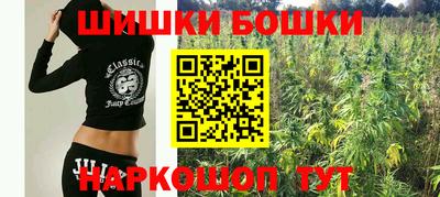 винт Можга