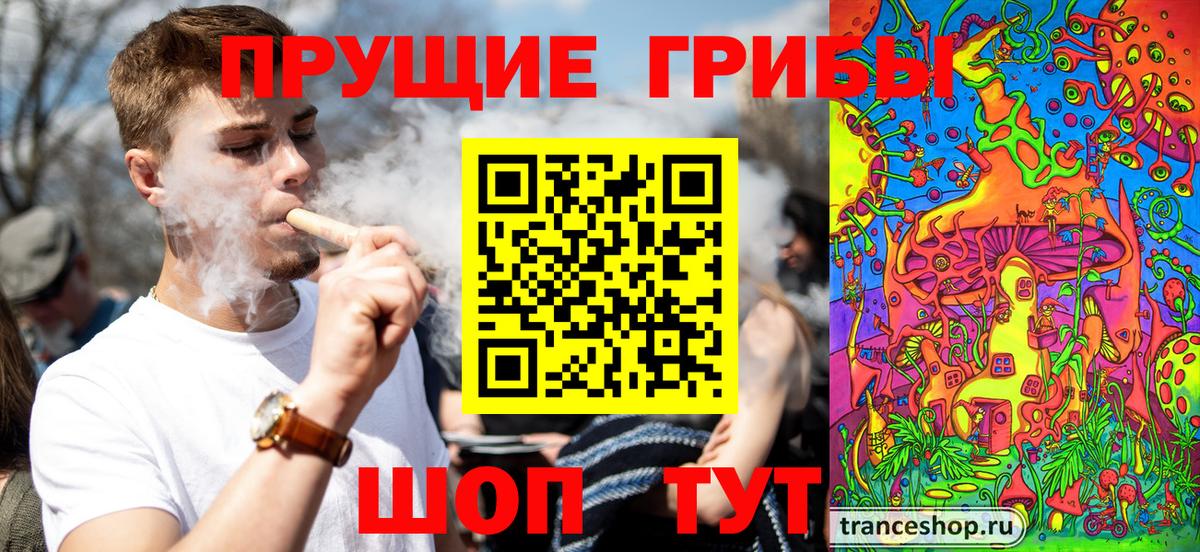 Галлюциногенные грибы GOLDEN TEACHER  сколько стоит  Чехов  Вход с VPN 